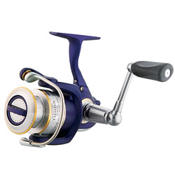 Daiwa Tierra Review