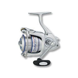 Daiwa Coastal Inshore Review